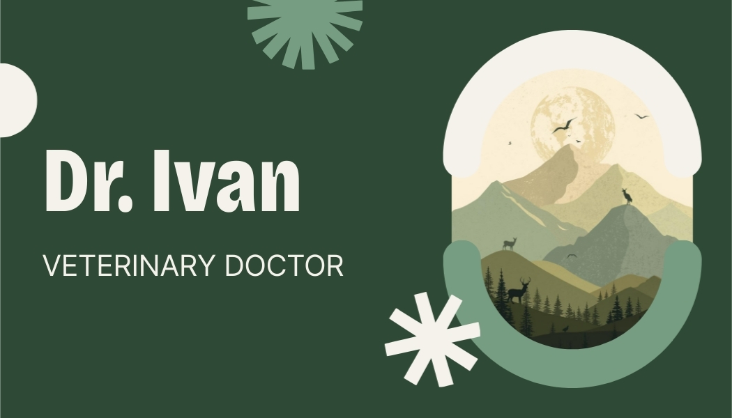 Dr Ivan Veterinary branding